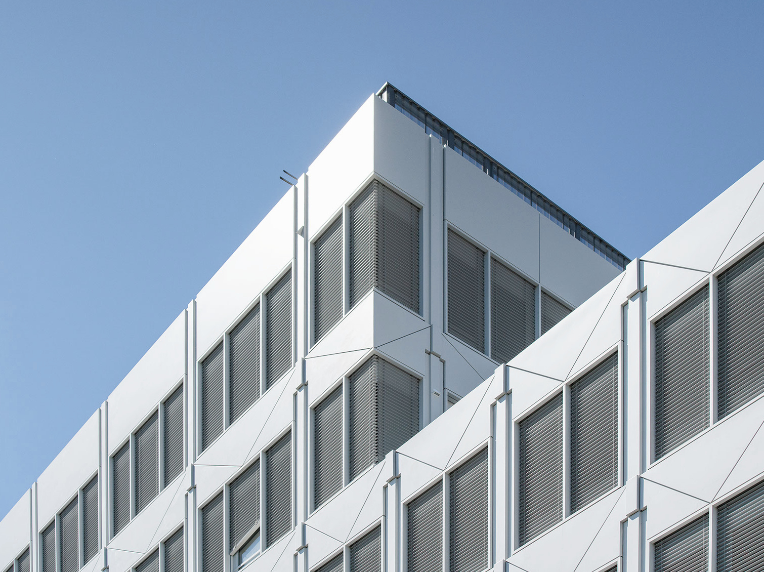 Höhenstaffelung der Baukörper und Dachaufbau des BioSquare